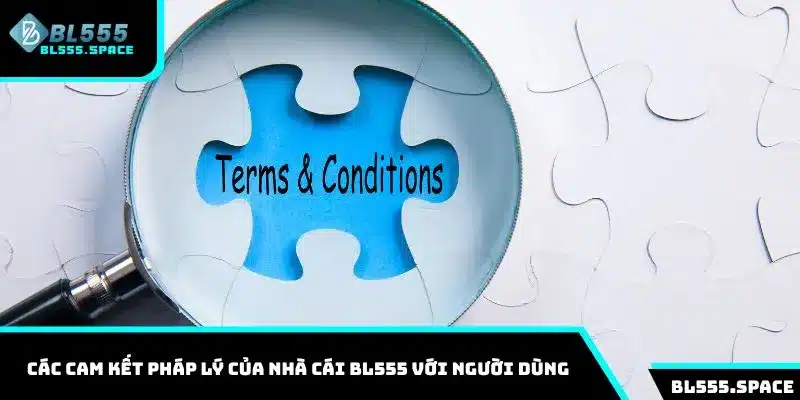Điều Khoản Điều Kiện 3 Các cam kết pháp lý của nhà cái BL555 với người dùng