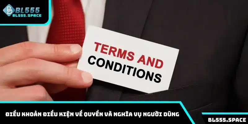 Điều Khoản Điều Kiện 2 Điều khoản điều kiện về quyền và nghĩa vụ người dùng